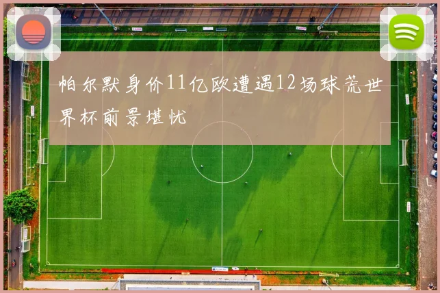 帕尔默身价11亿欧遭遇12场球荒世界杯前景堪忧
