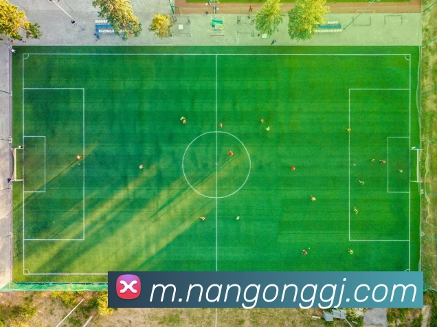用户互动社区