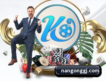南宫国际 APP